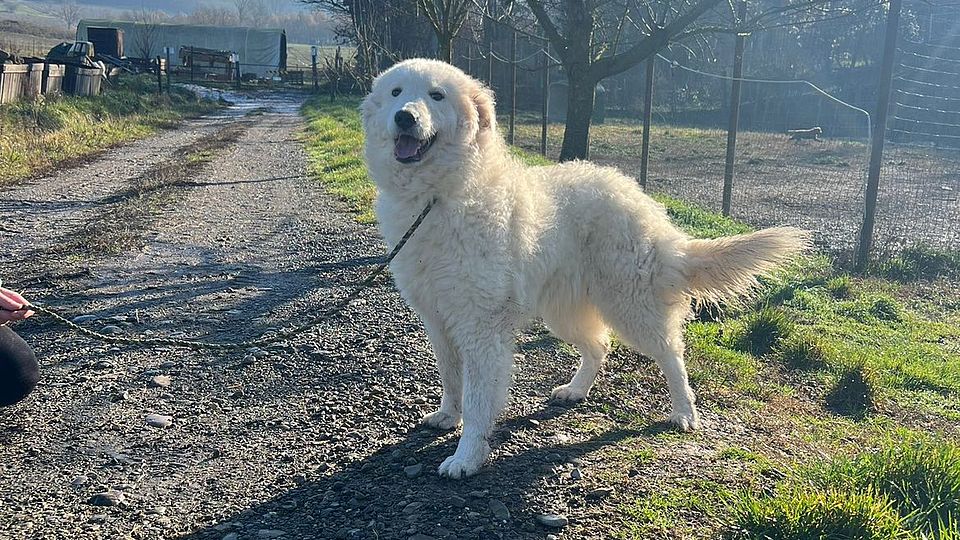 [Translate to Deutsch:] 