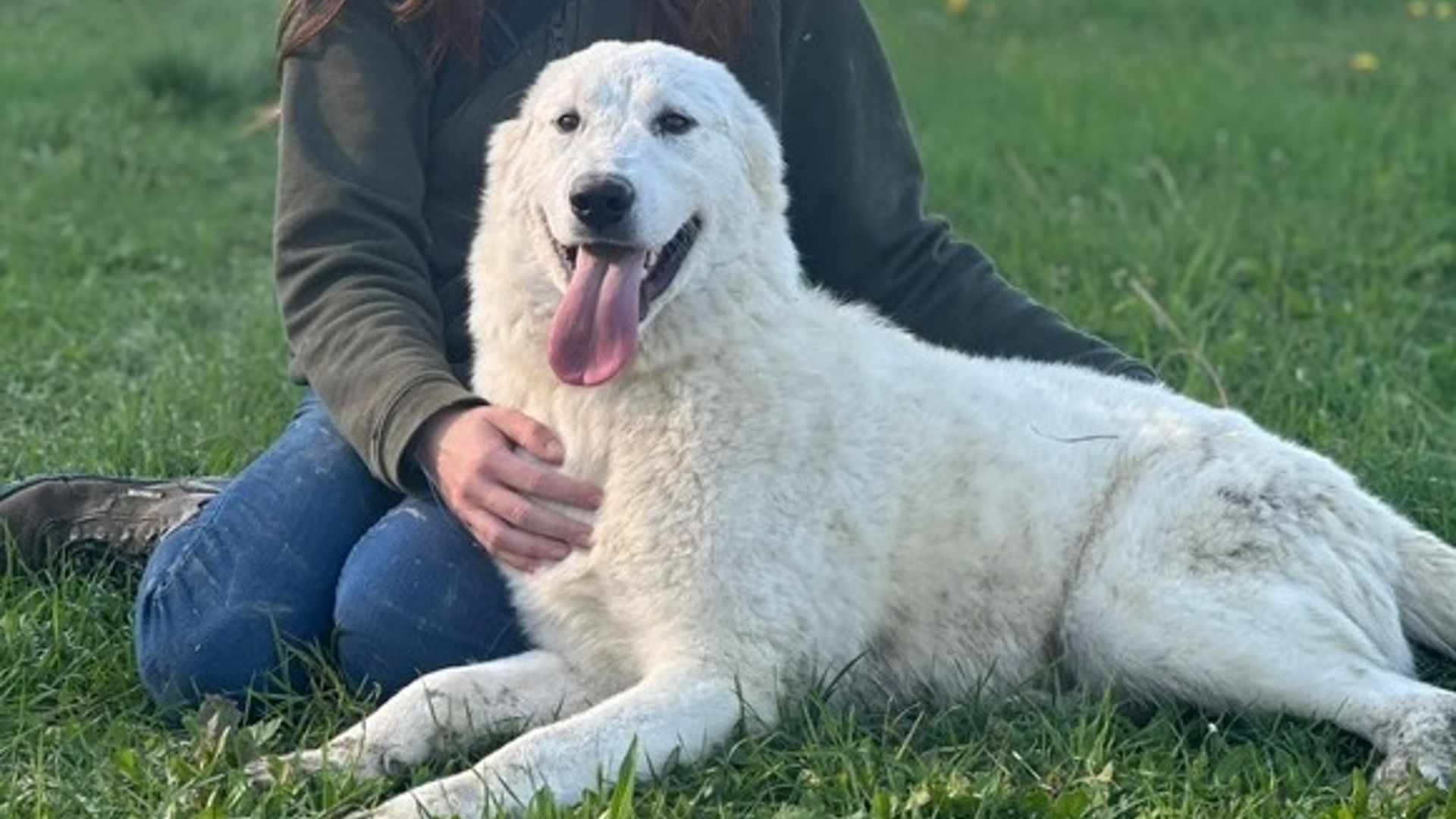 [Translate to Deutsch:] 