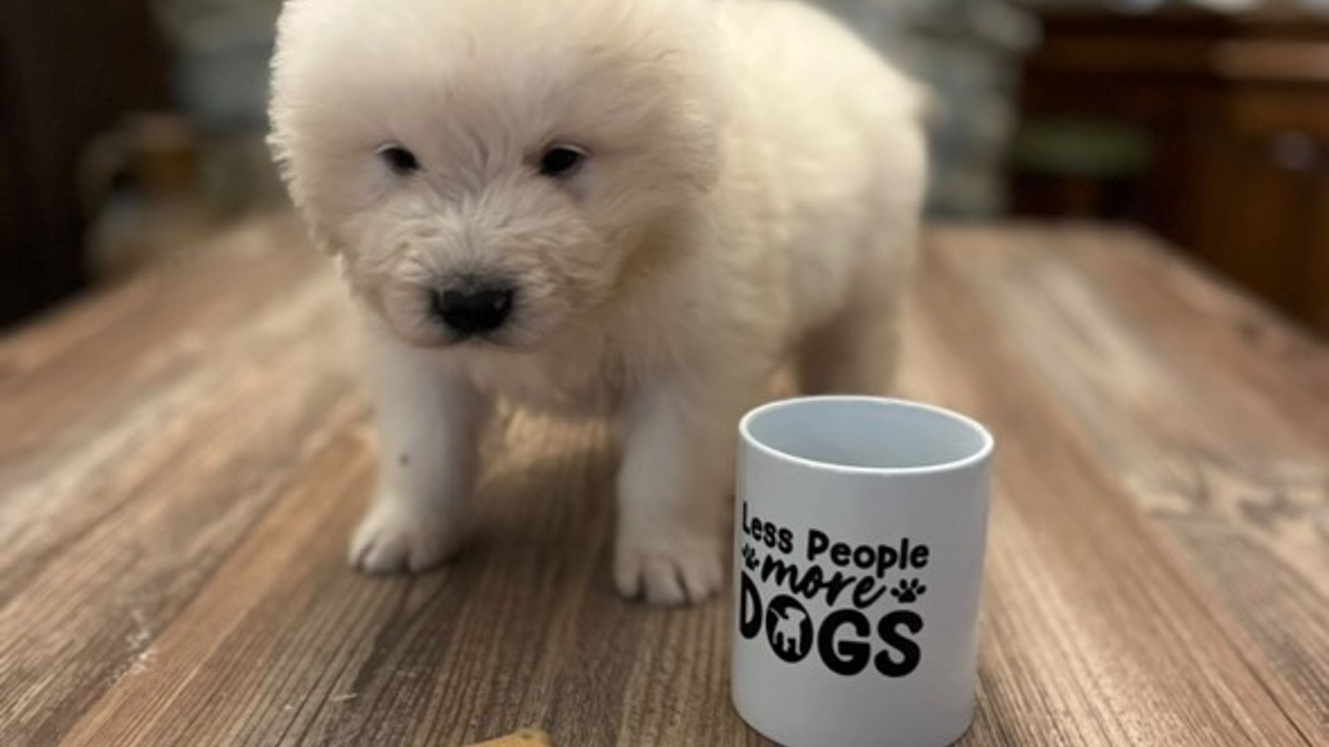 [Translate to Deutsch:] 