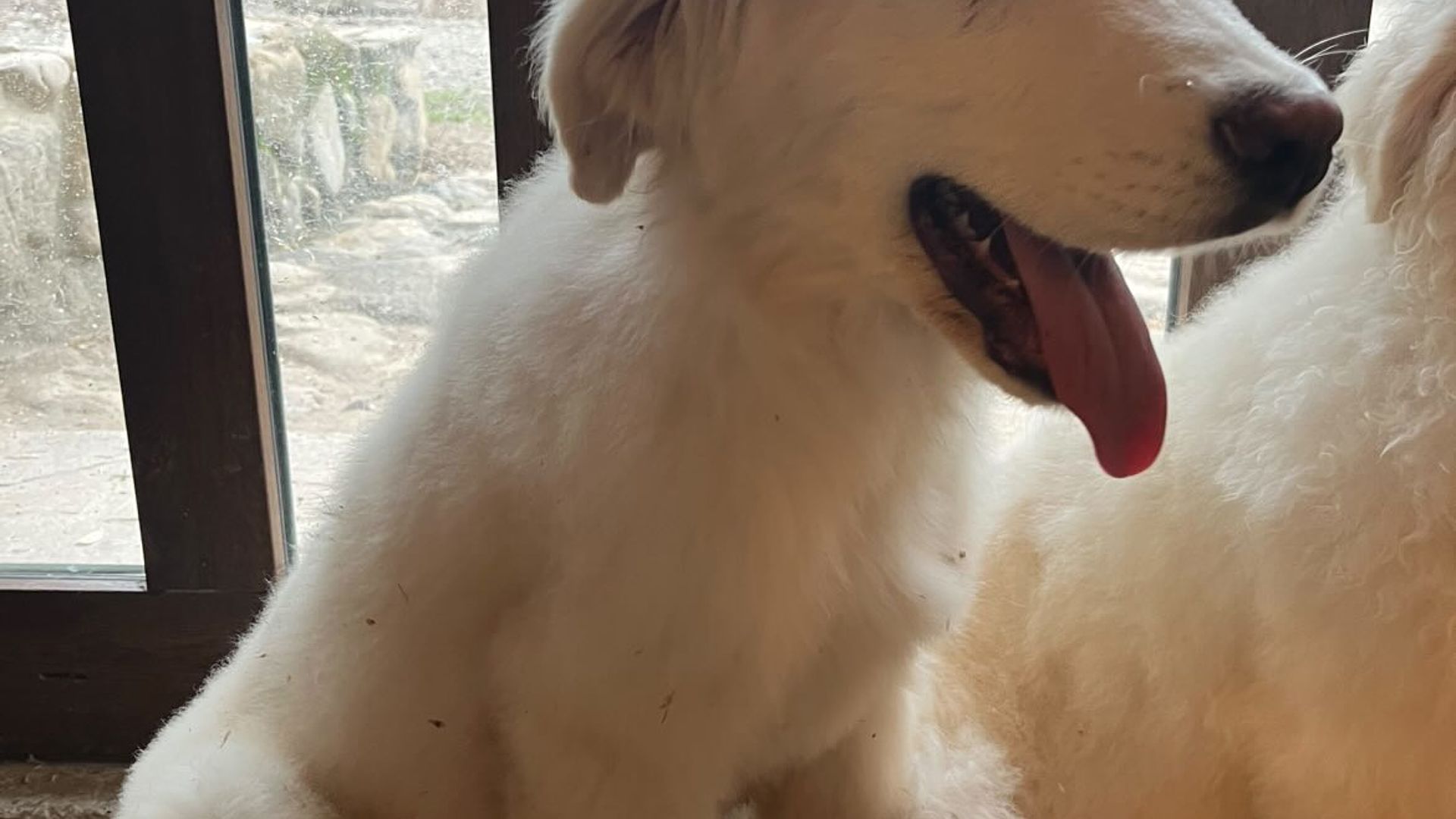 [Translate to Deutsch:] 