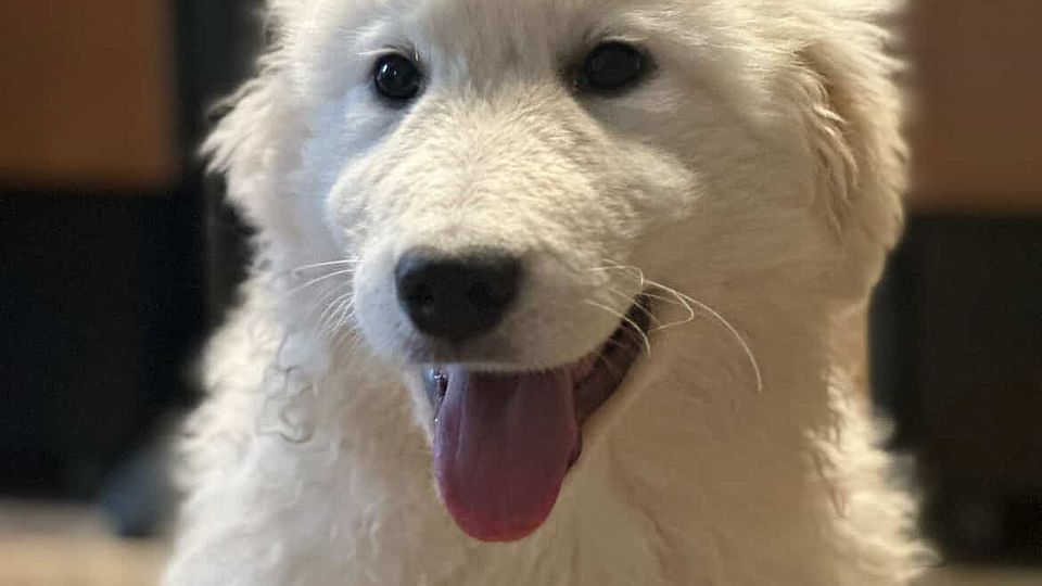 [Translate to Deutsch:] 