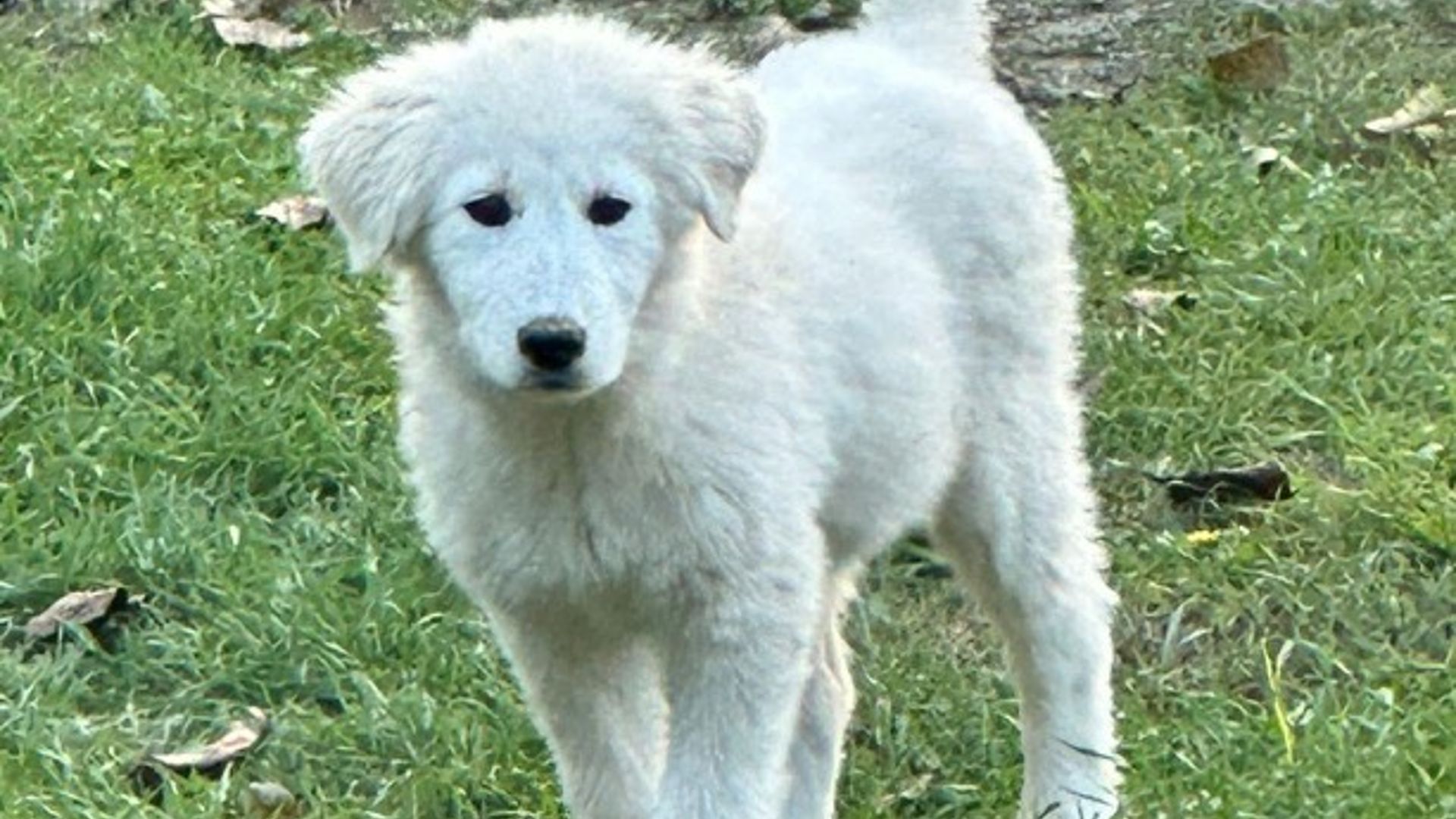 [Translate to Deutsch:] 