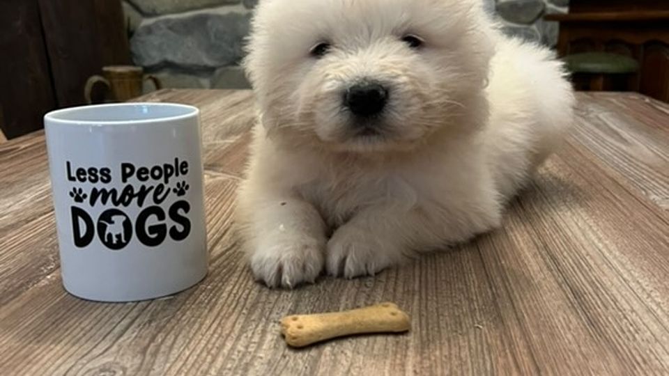 [Translate to Deutsch:] 