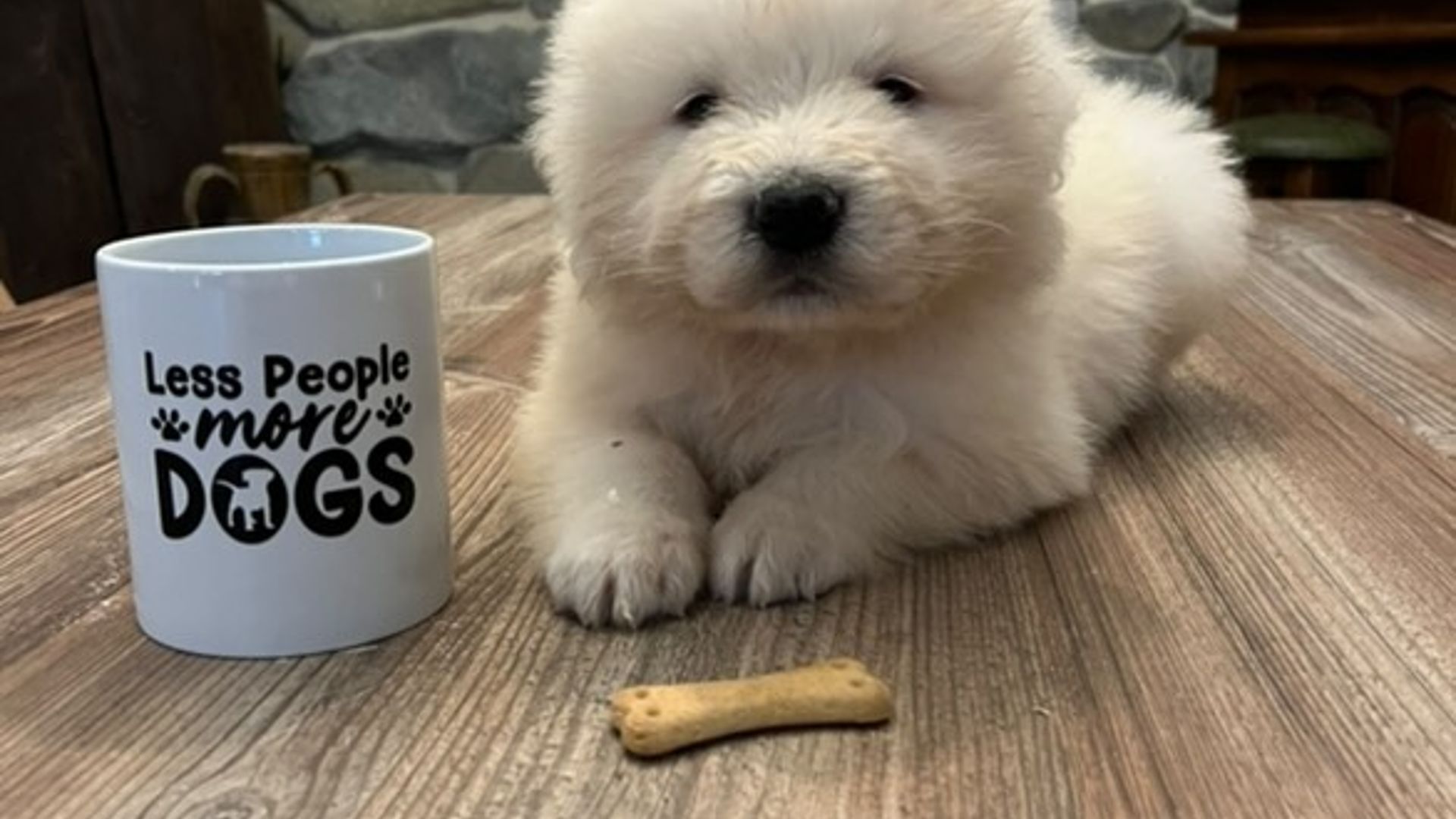 [Translate to Deutsch:] 