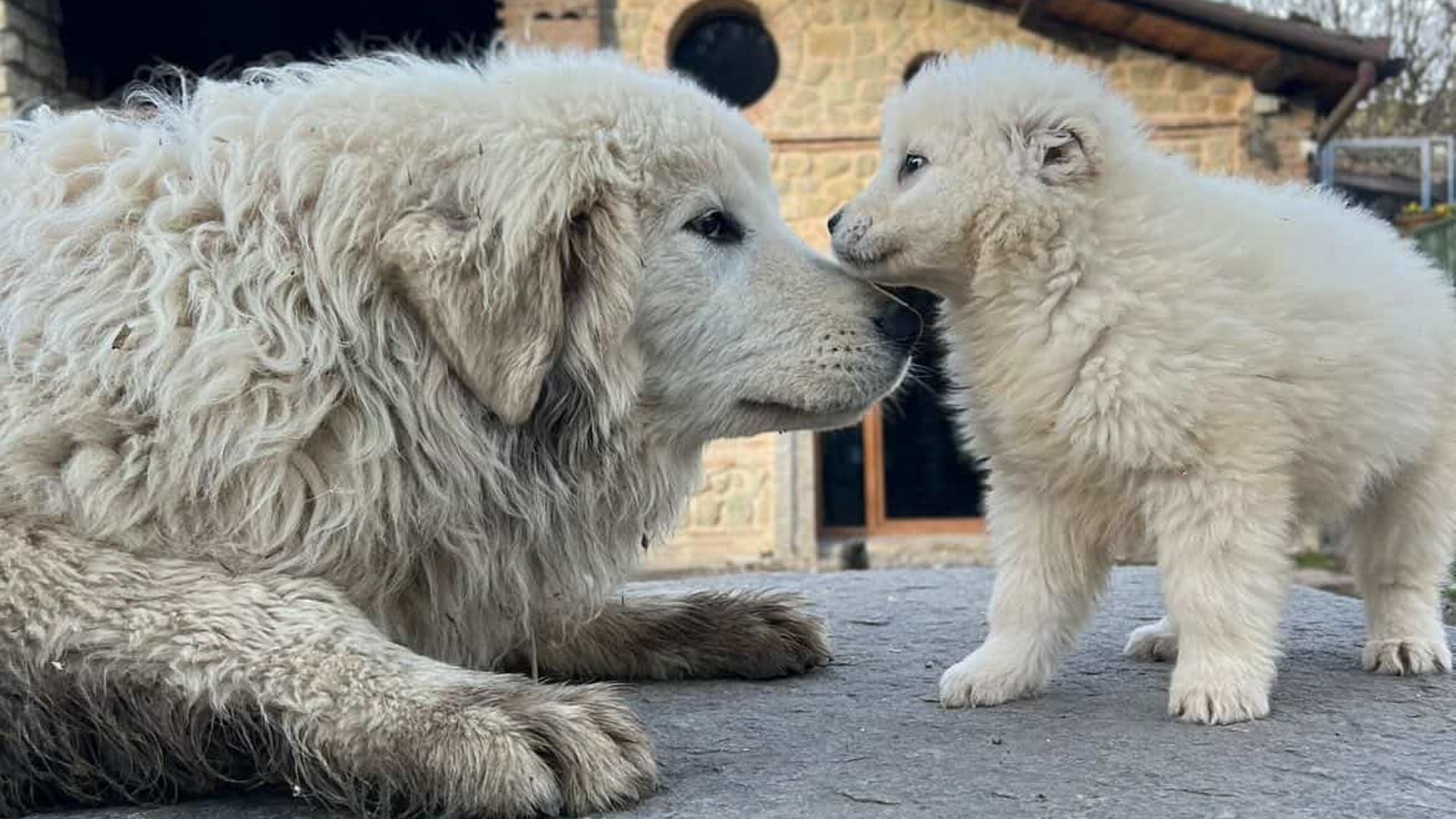 [Translate to Deutsch:] 