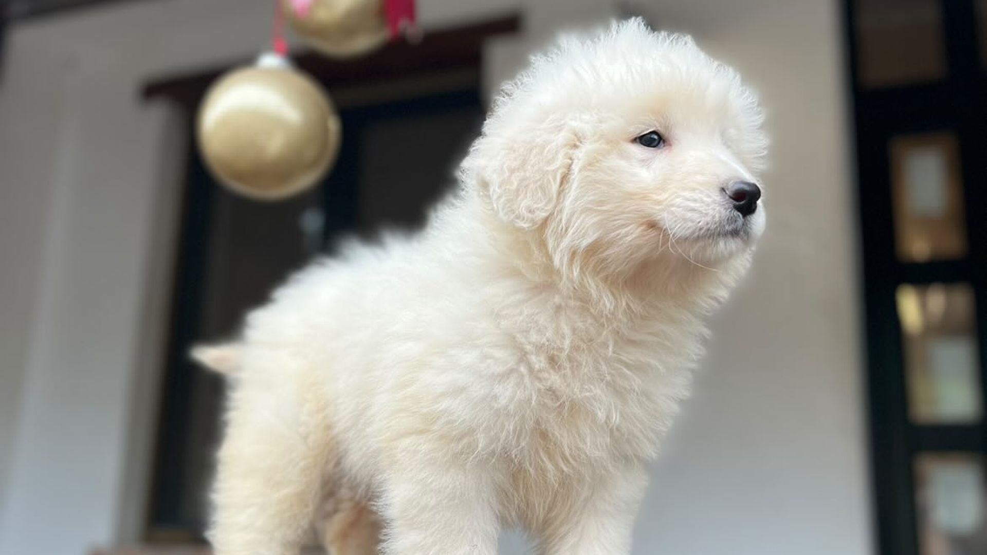 [Translate to Deutsch:] 