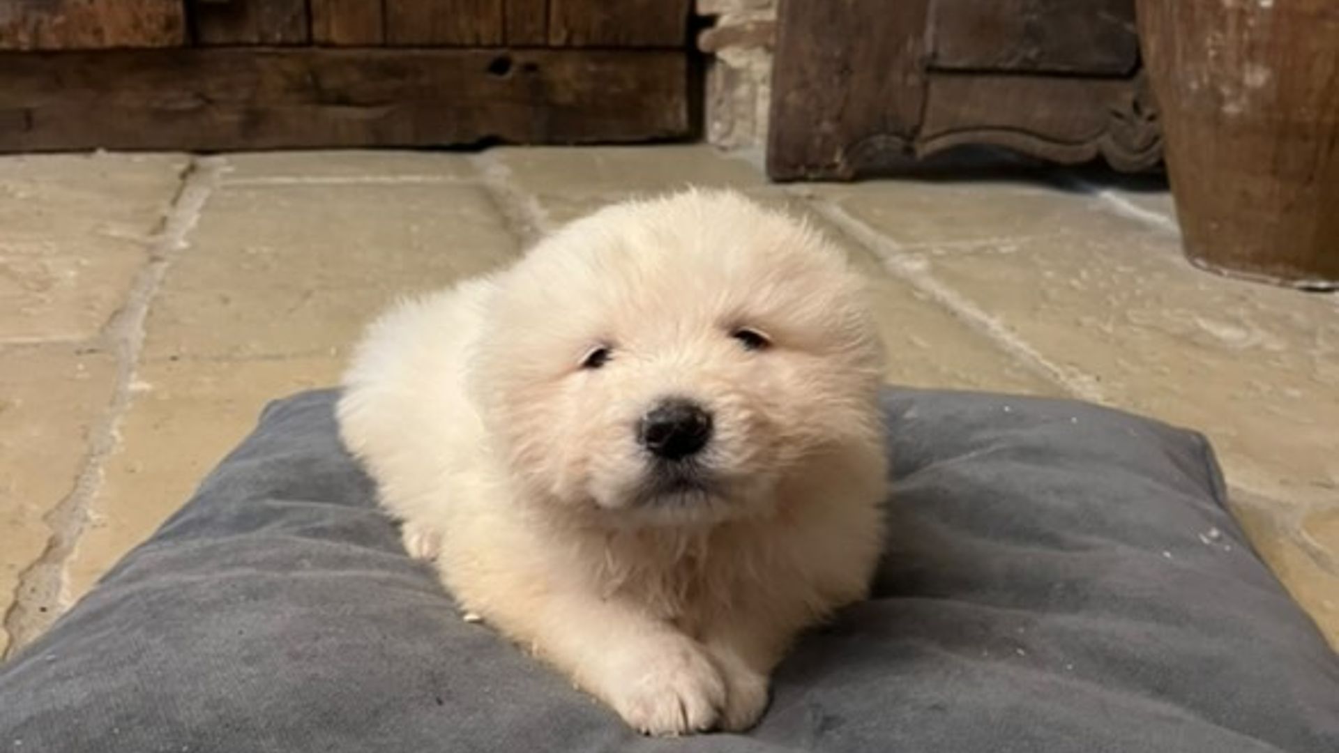 [Translate to Deutsch:] 