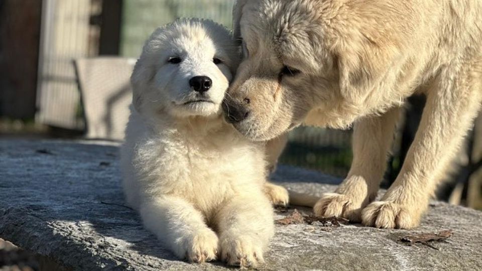 [Translate to Deutsch:] 