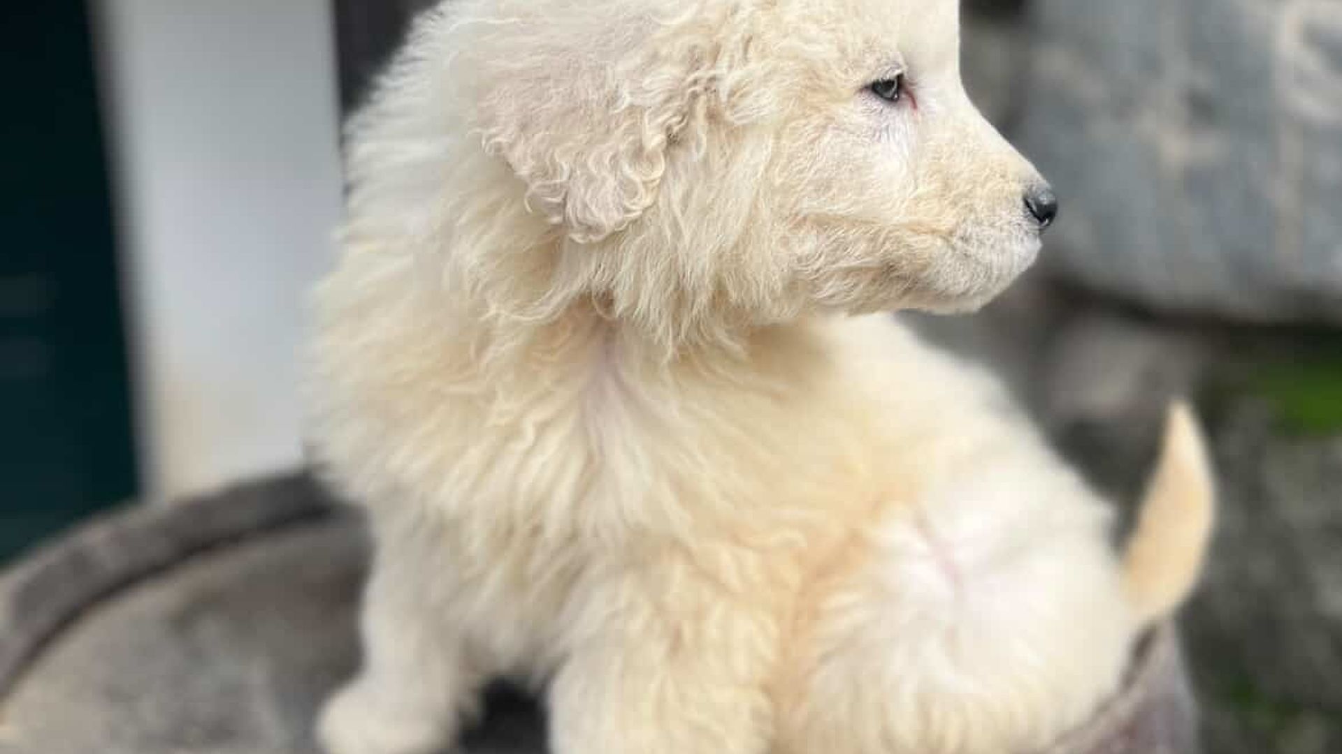 [Translate to Deutsch:] 