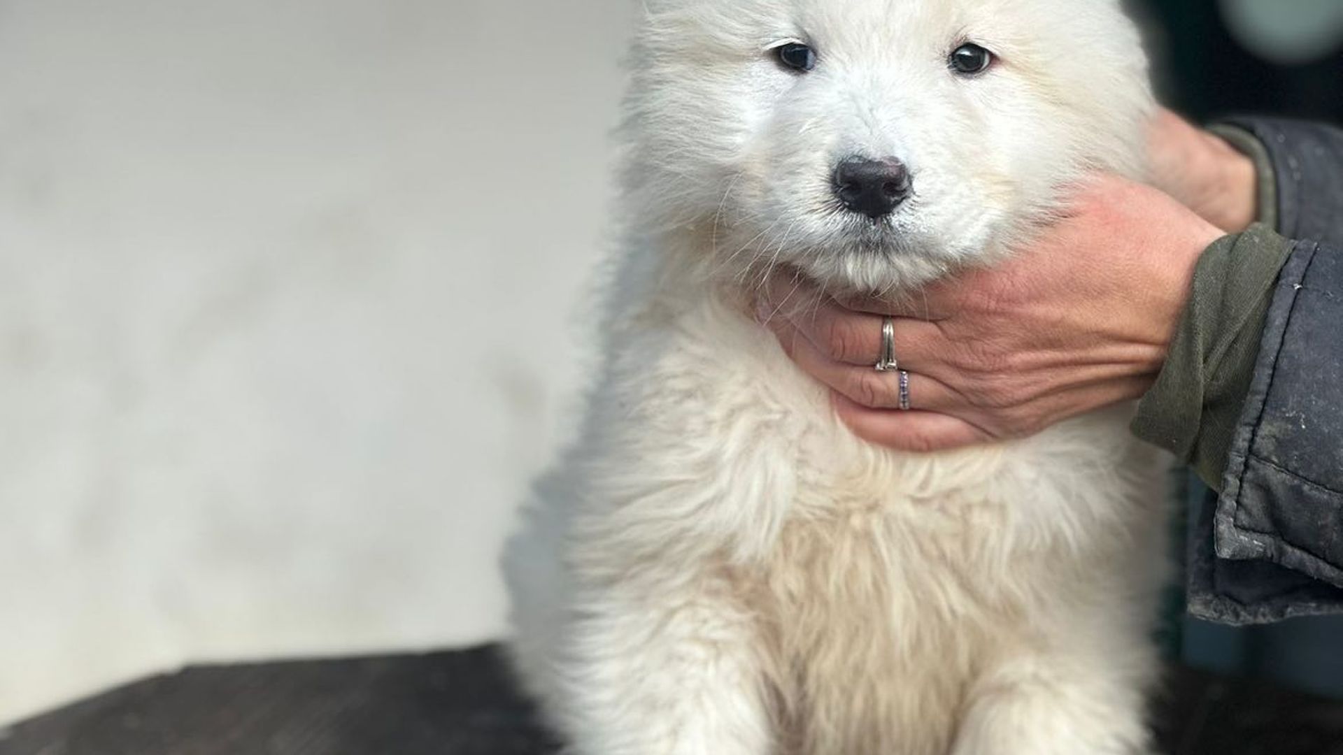 [Translate to Deutsch:] 