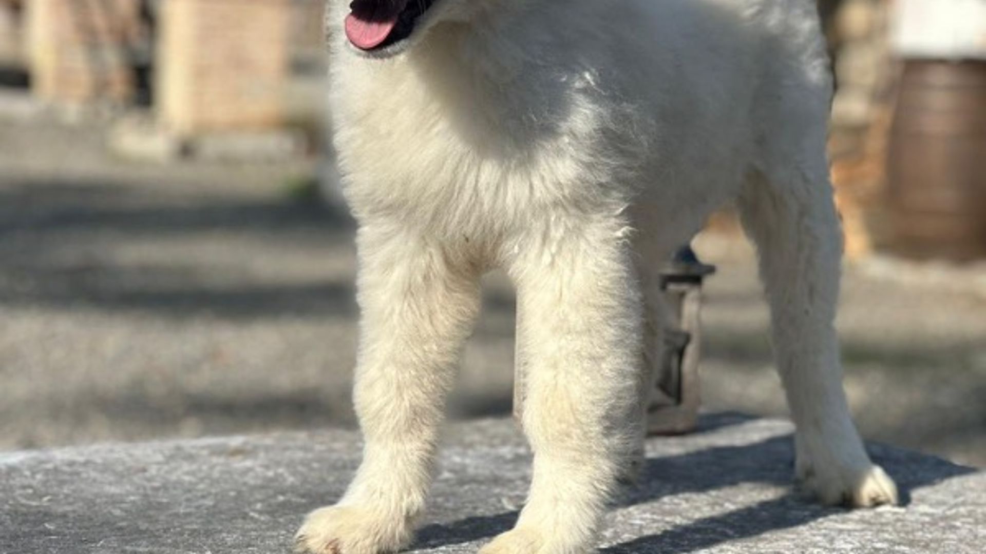 [Translate to Deutsch:] 