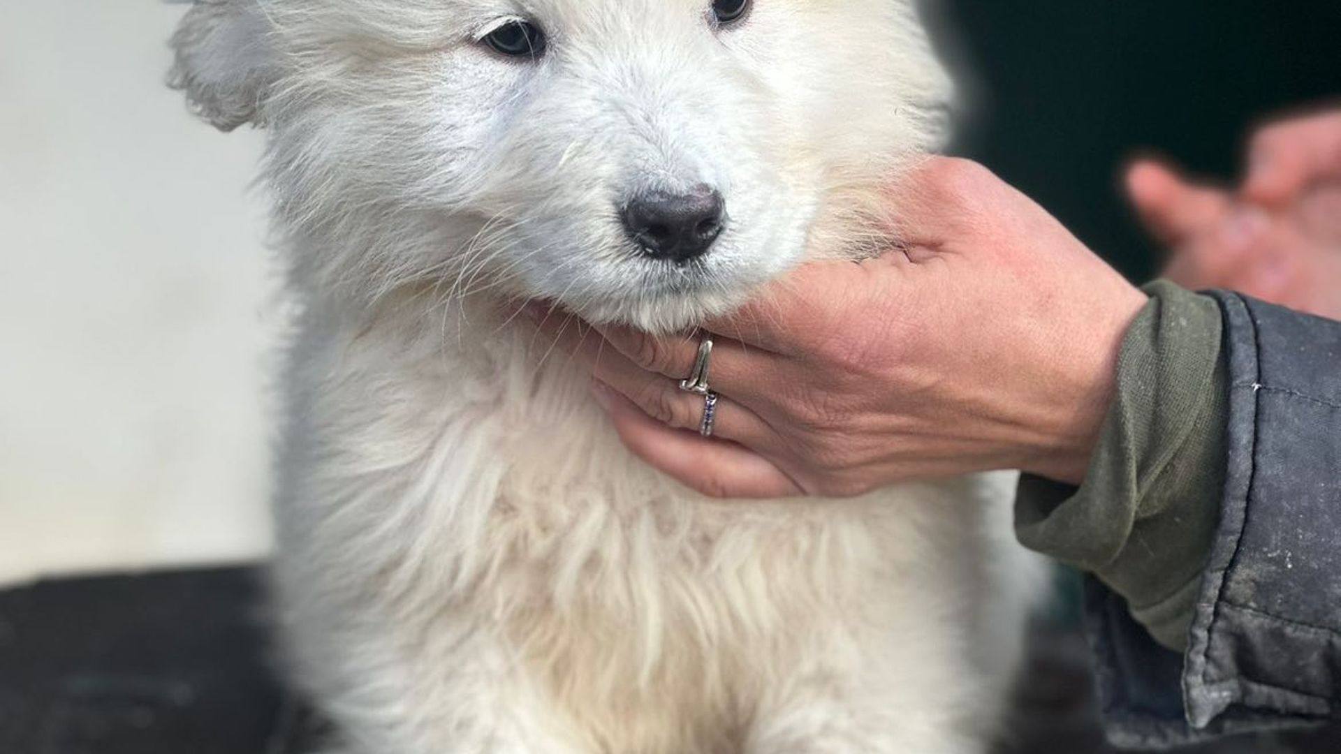 [Translate to Deutsch:] 