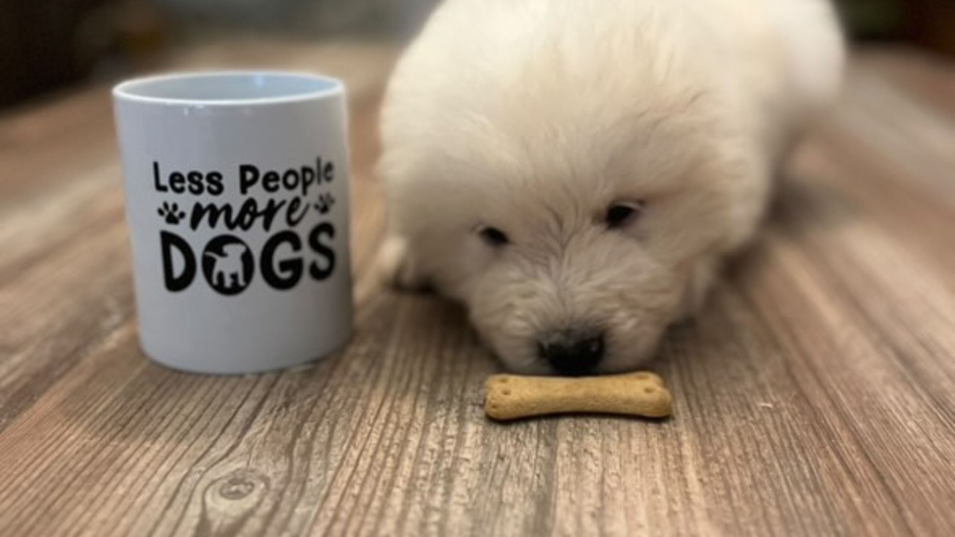 [Translate to Deutsch:] 