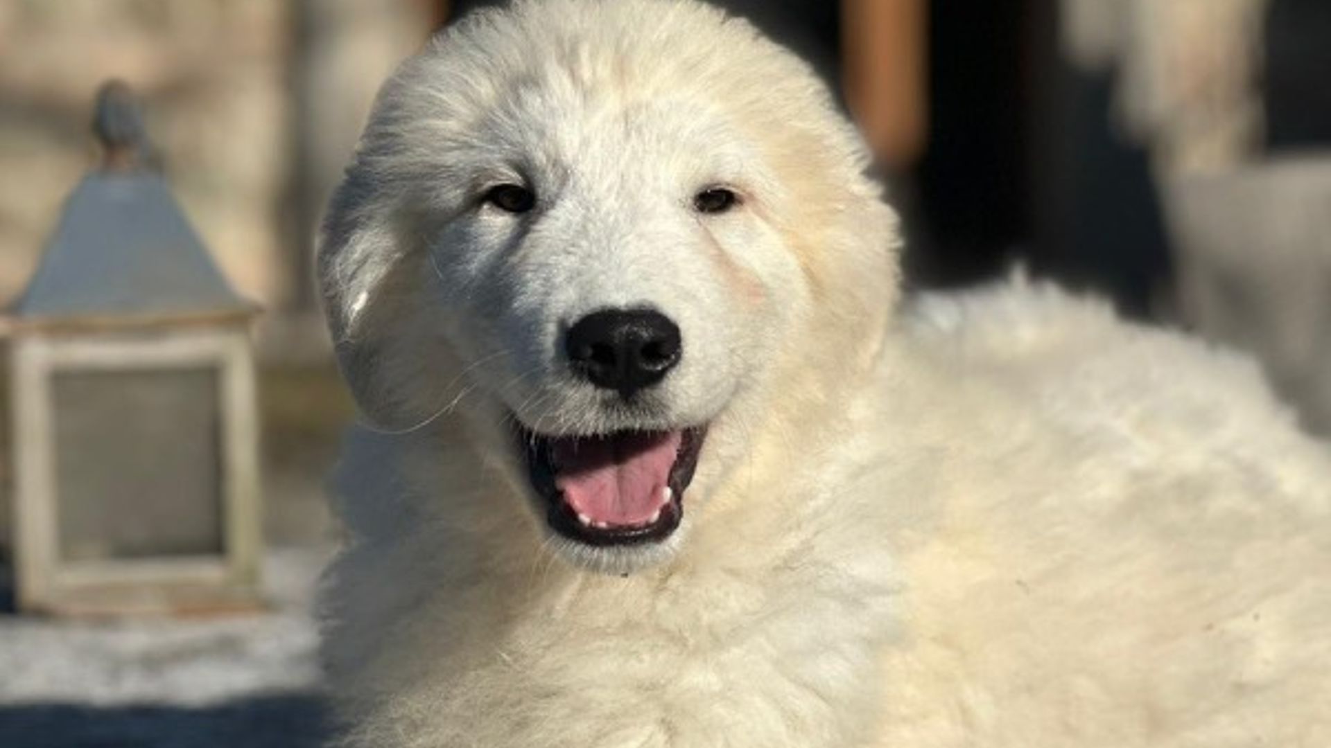 [Translate to Deutsch:] 