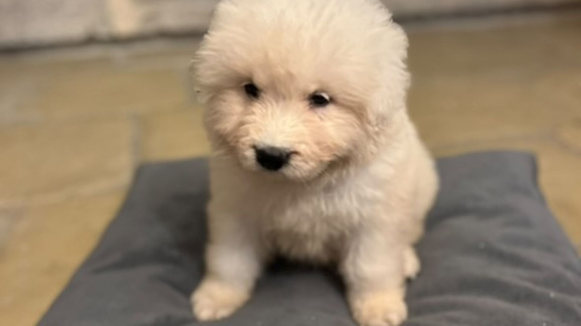 [Translate to Deutsch:] 