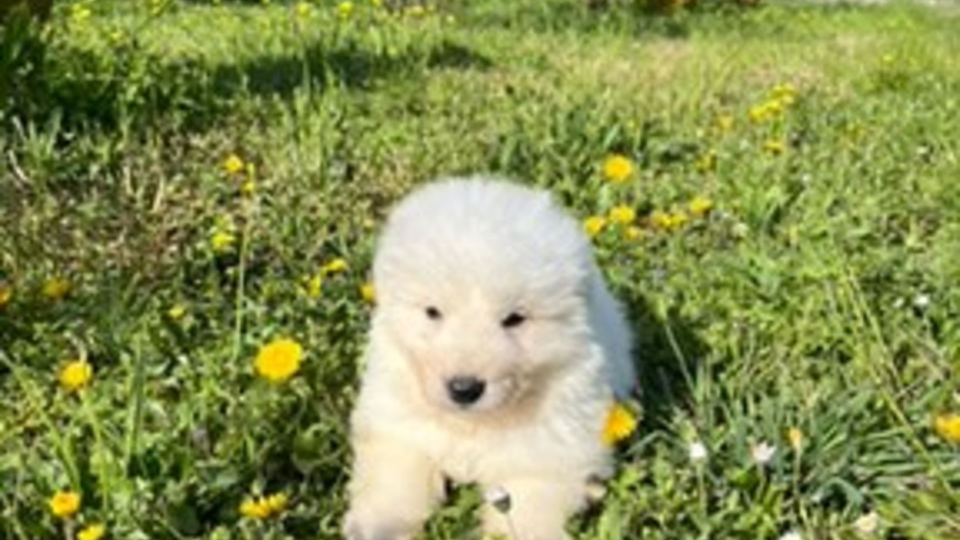 [Translate to Deutsch:] 