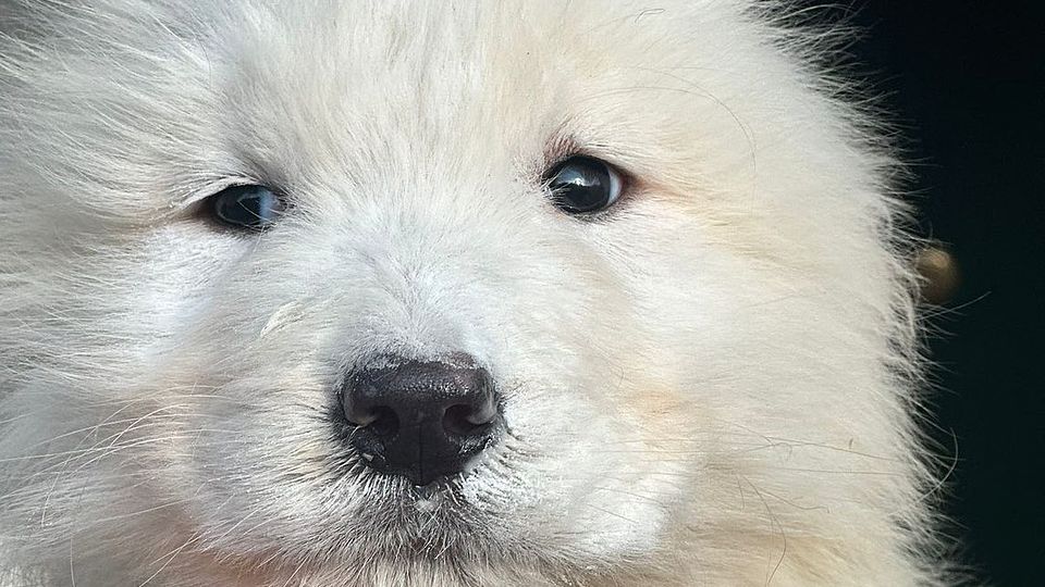 [Translate to Deutsch:] 