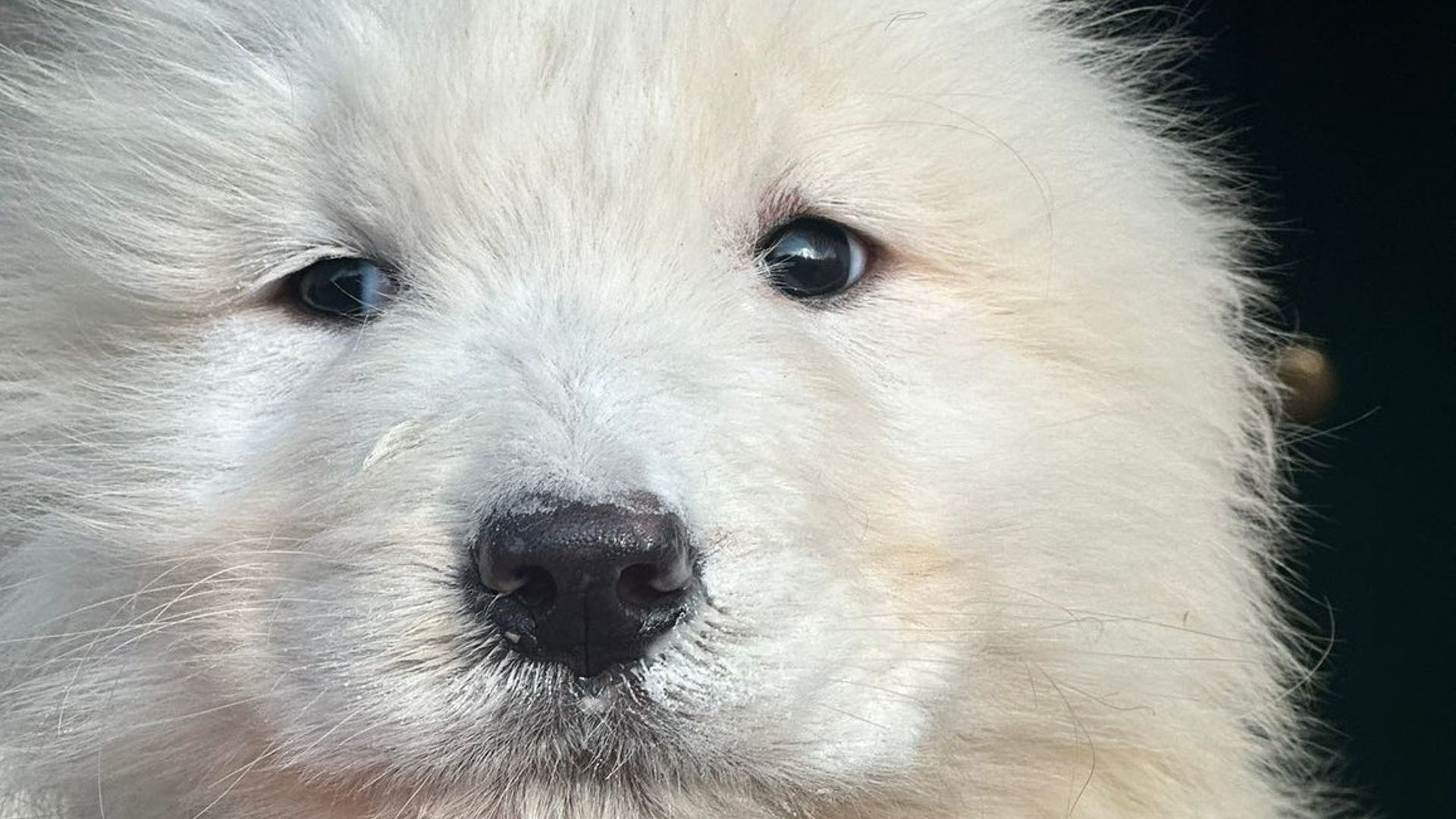 [Translate to Deutsch:] 