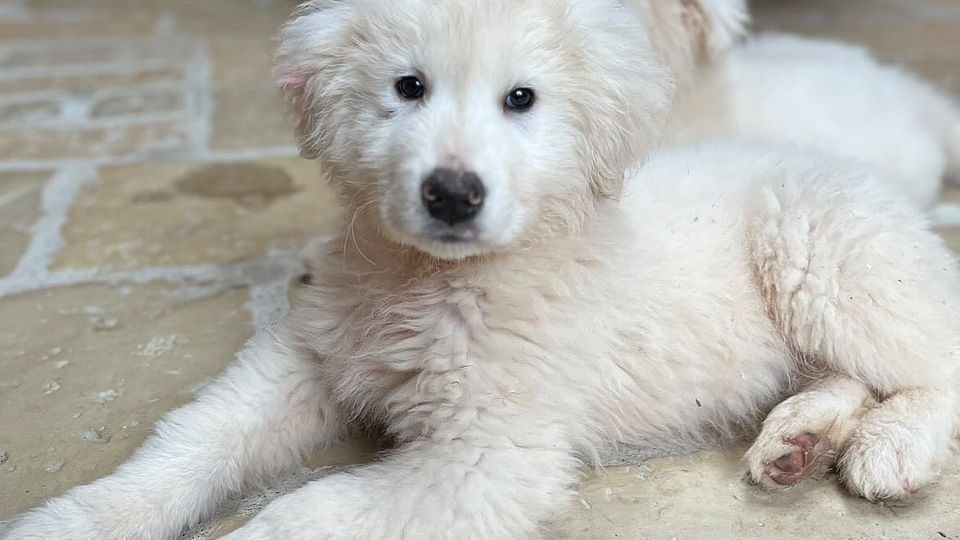 [Translate to Deutsch:] 