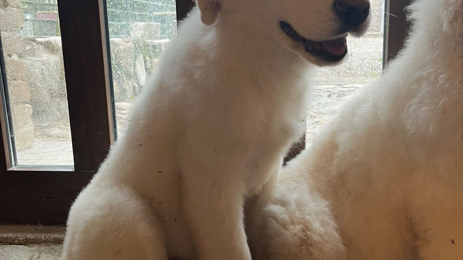 [Translate to Deutsch:] 