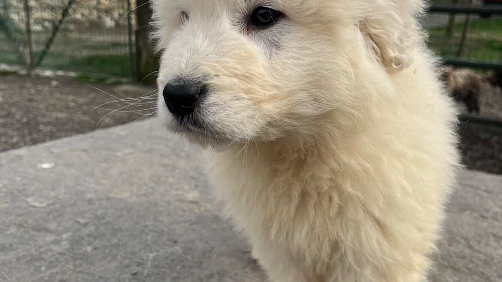 [Translate to Deutsch:] 